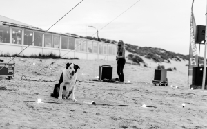 Terschellinger Filmdagen  Buitenbios 2018 - Alex Hamstra Photography - Blikopfestivals - (119)