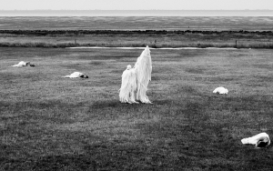 Oerol 2018 - Alex Hamstra Photography - Blikopfestivals - Web - (511)